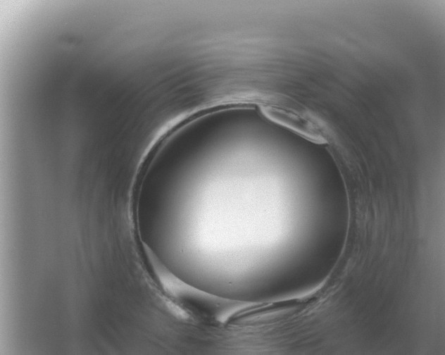 X0000067491230200604150033