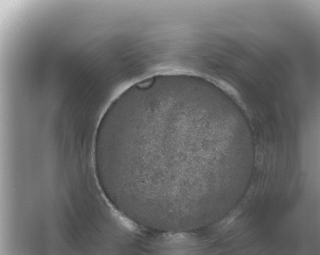 X0000067491231200604150033