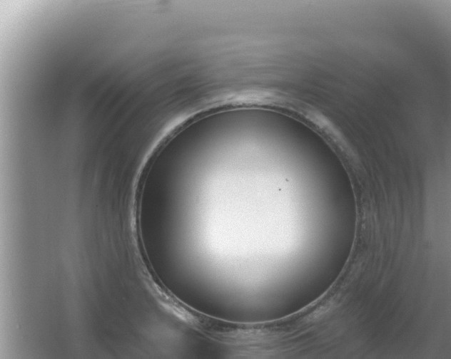 X0000067491232200604150033