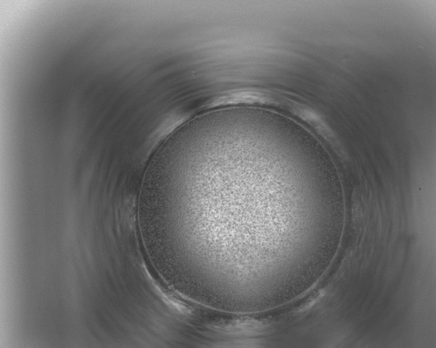 X0000067491233200604150033