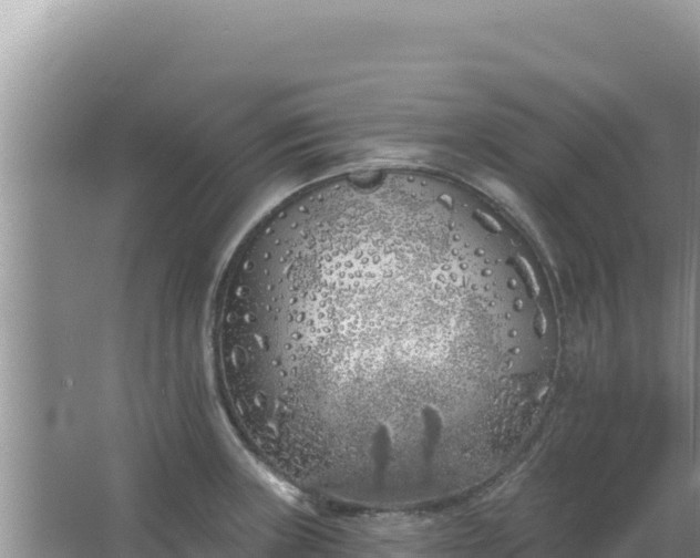 X0000067491235200604150033