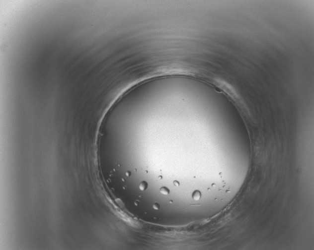 X0000067491236200604150033