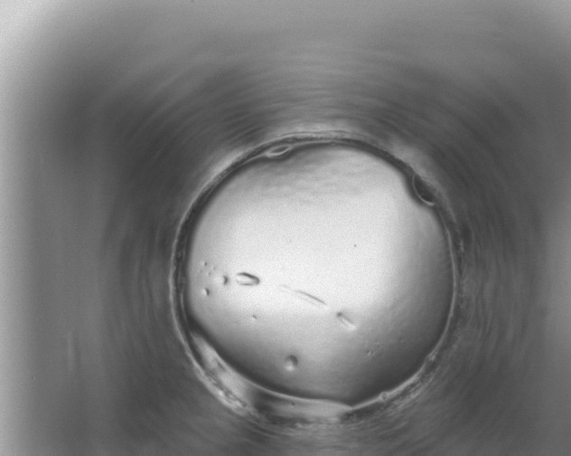 X0000067491237200604150033