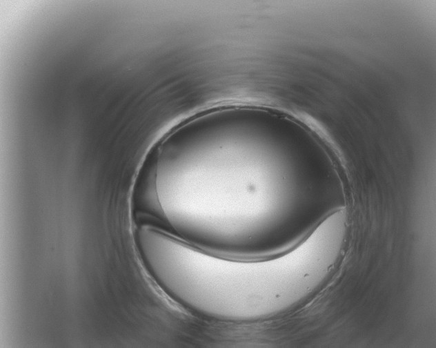 X0000067491238200604150033