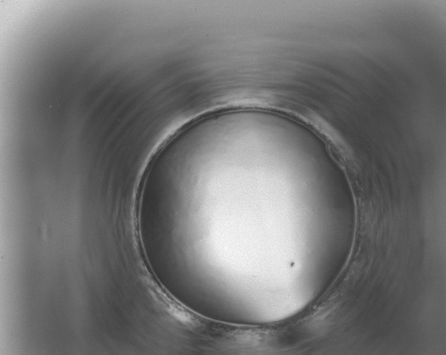 X0000067491240200604150033