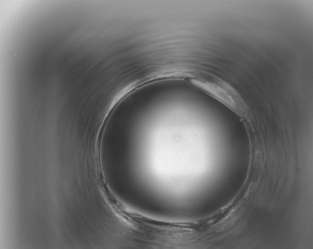 X0000067491242200604150033