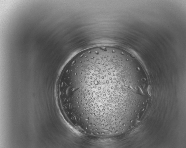 X0000067491243200604150034