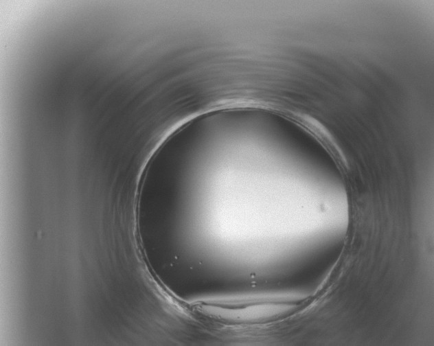 X0000067491244200604150034