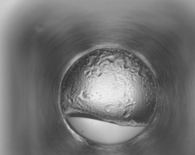 X0000067491245200604150034