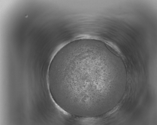 X0000067491247200604150034