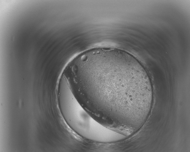 X0000067491248200604150034