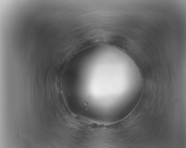 X0000067491250200604150033