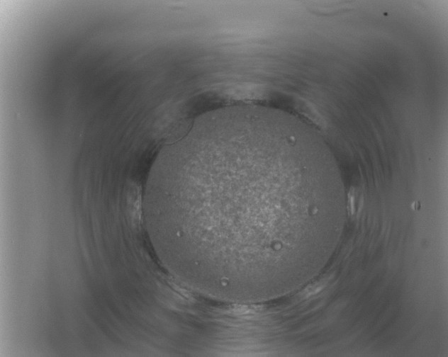 X0000067491251200604150033