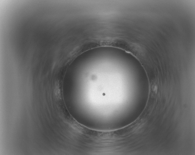 X0000067491252200604150033