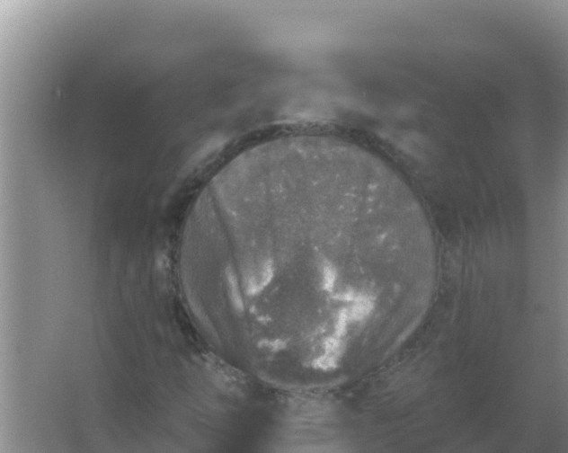 X0000067491254200604150033