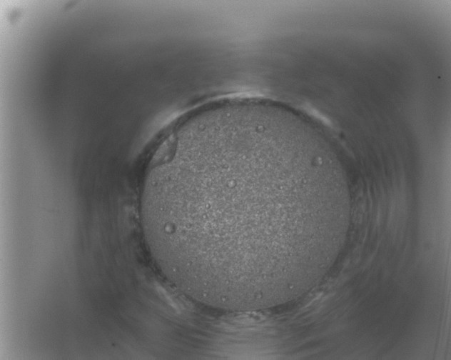 X0000067491255200604150033