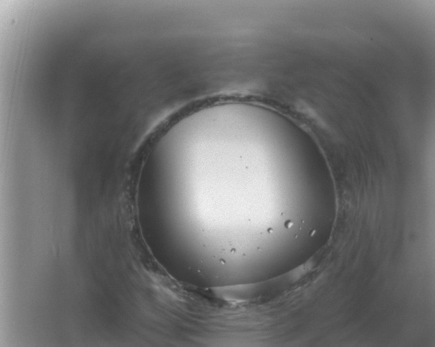 X0000067491256200604150033