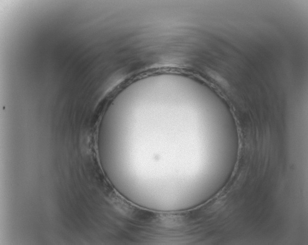 X0000067491258200604150033