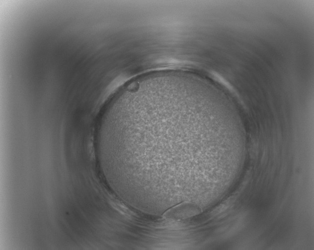 X0000067491259200604150033