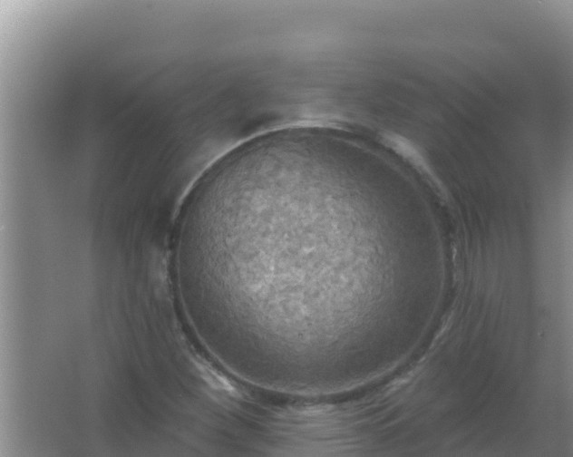 X0000067491260200604150033