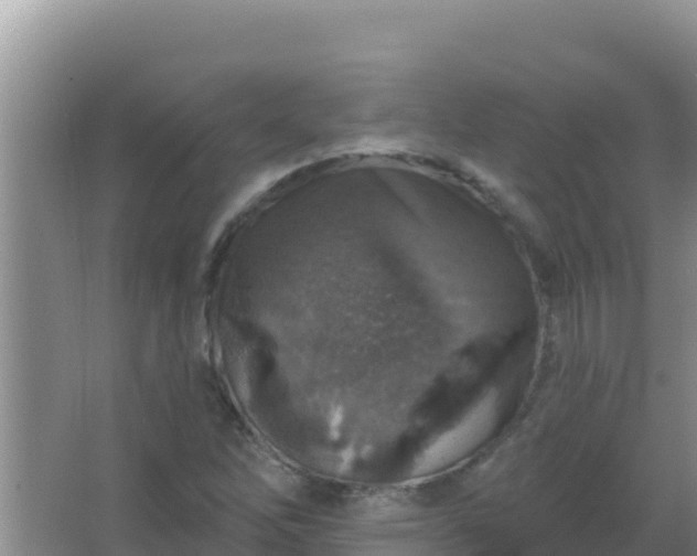 X0000067491262200604150033