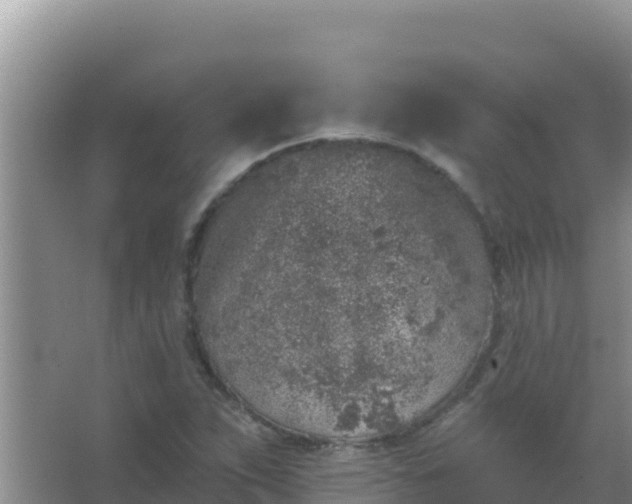 X0000067491263200604150033