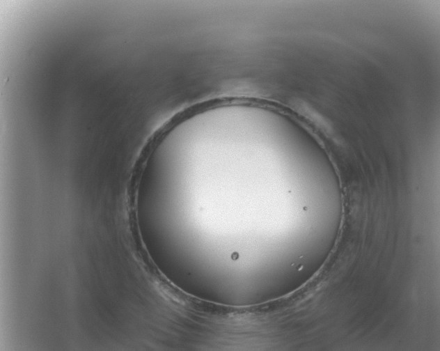 X0000067491264200604150033