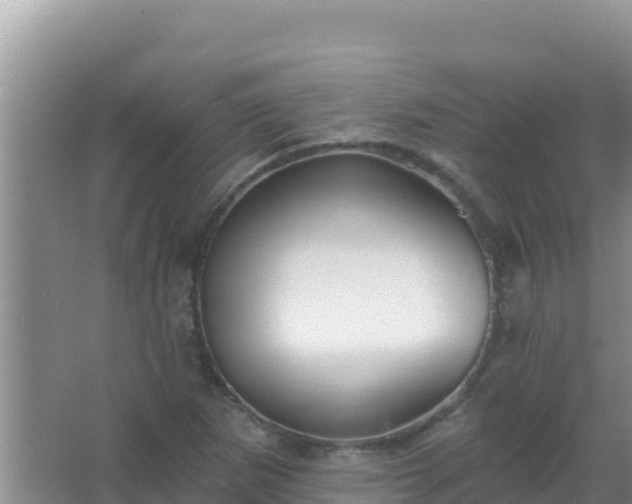 X0000067491265200604150033