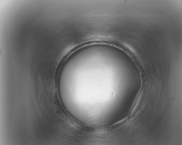 X0000067491267200604150032