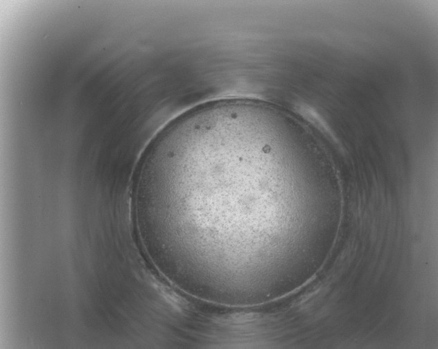 X0000067491268200604150032