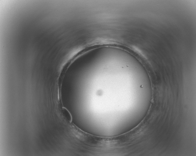 X0000067491269200604150032