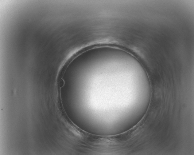 X0000067491270200604150032