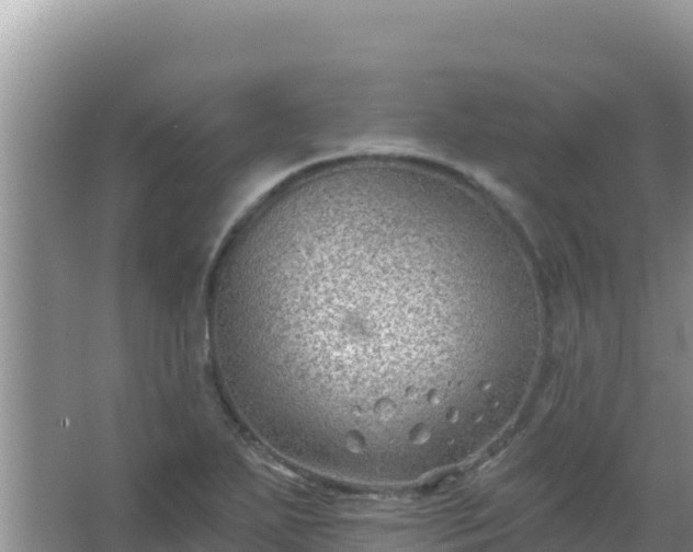 X0000067491271200604150032