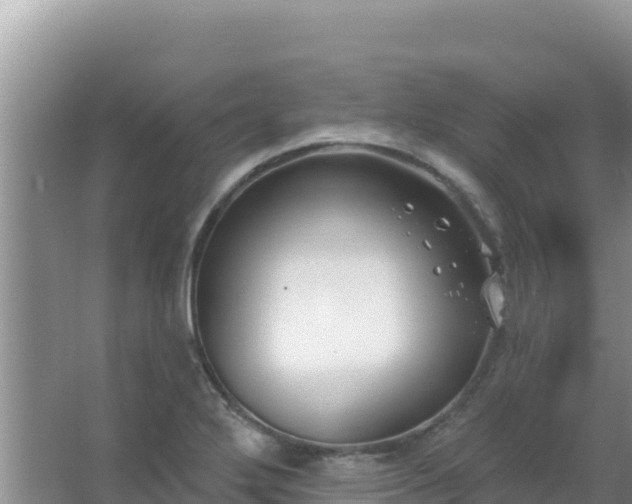 X0000067491272200604150032