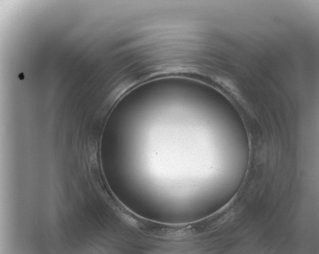 X0000067491273200604150032