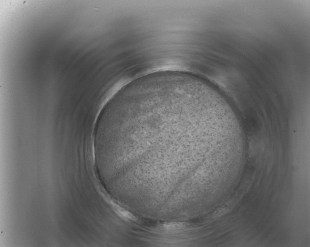 X0000067491274200604150032