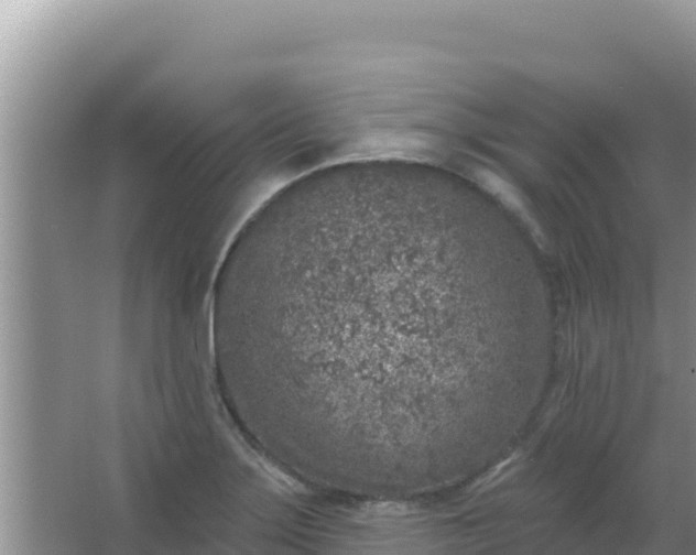 X0000067491275200604150032