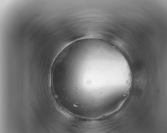 X0000067491276200604150032