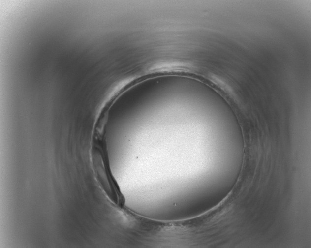 X0000067491277200604150032