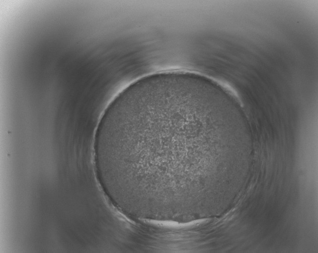 X0000067491279200604150032