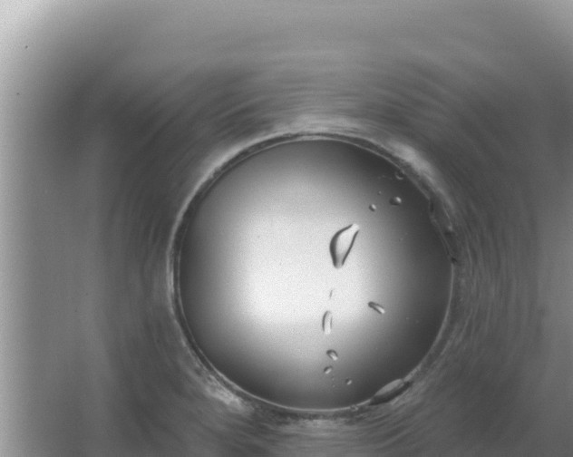 X0000067491280200604150032