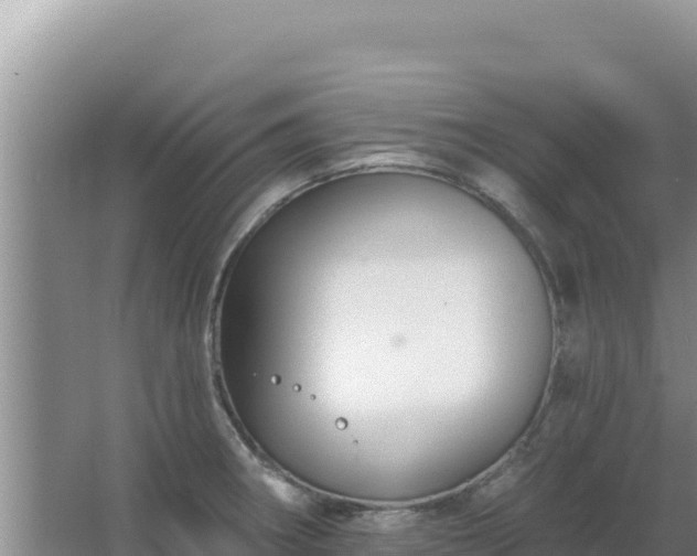 X0000067491282200604150032