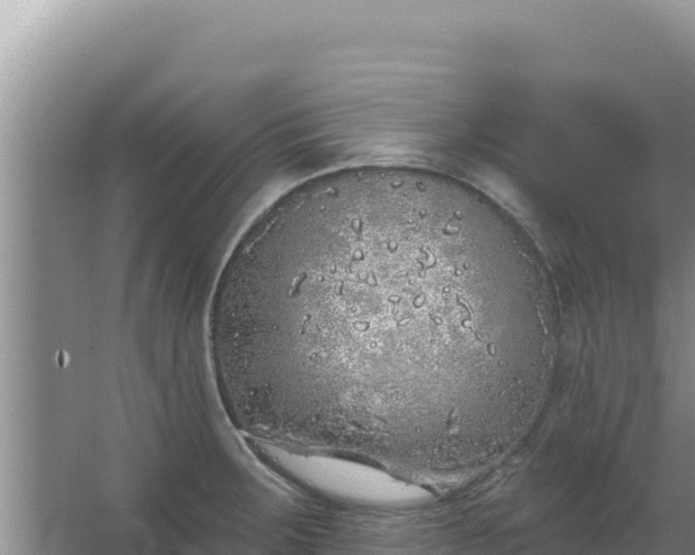 X0000067491283200604150032