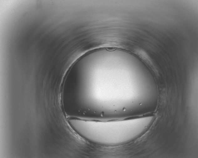 X0000067491284200604150032