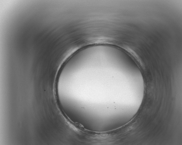 X0000067491285200604150032