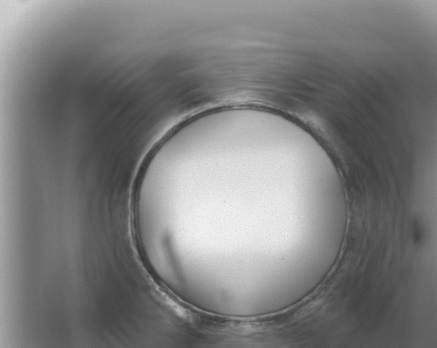 X0000067491286200604150032