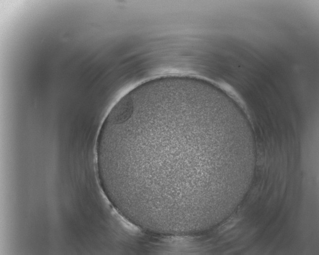 X0000067491287200604150032