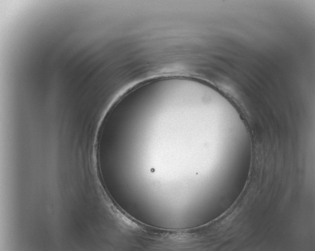 X0000067491288200604150032