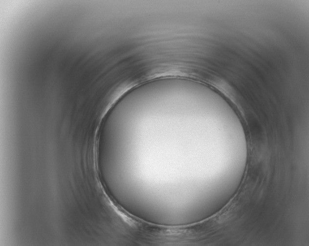 X0000067491290200604150032