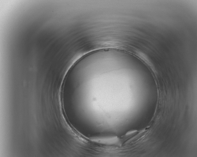 X0000067491291200604150032